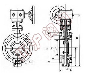 三偏心法蘭蝶閥結(jié)構(gòu)圖
